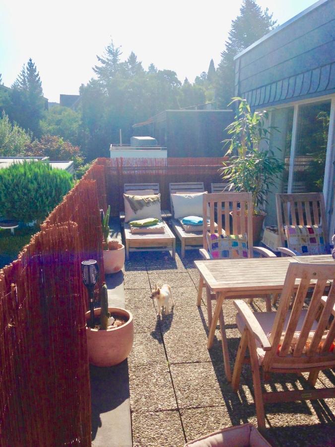 Ferienwohnung Sternstube De Luxe Bad Harzburg Eksteriør billede